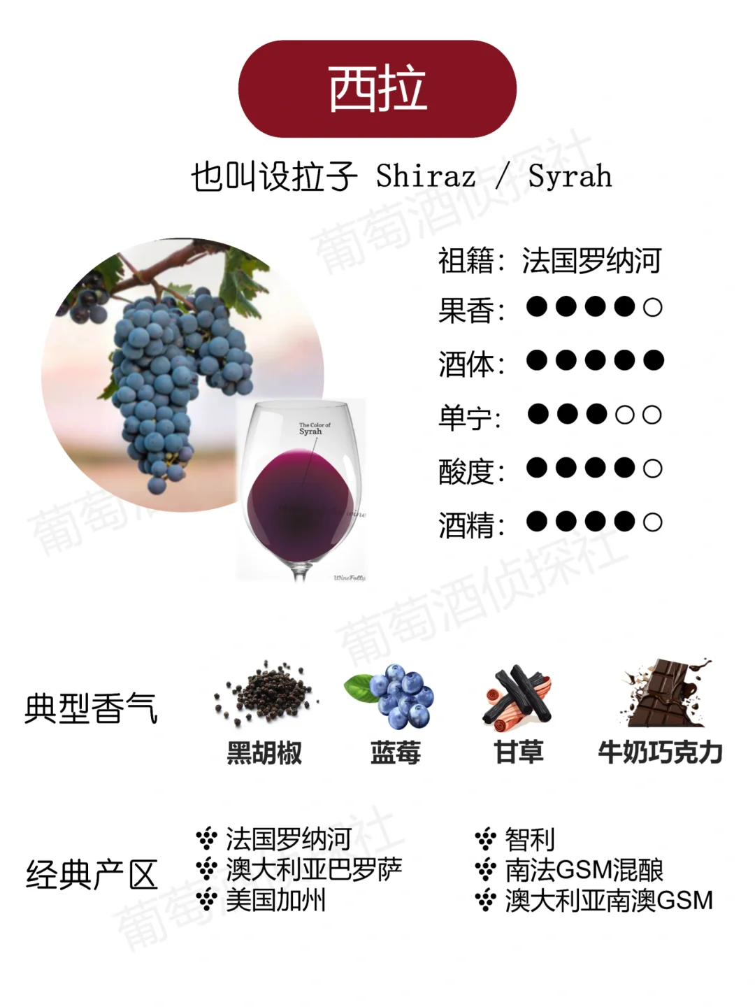 纯干货❗这些品种，涵盖了市面90%的酒