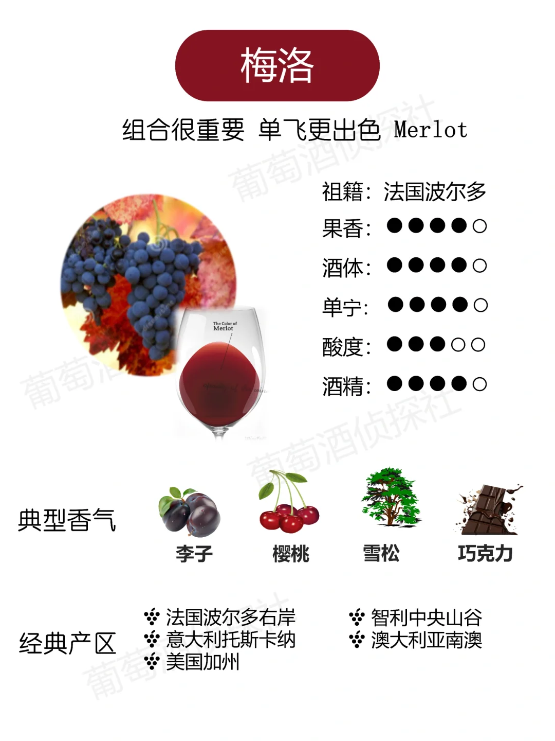 纯干货❗这些品种，涵盖了市面90%的酒