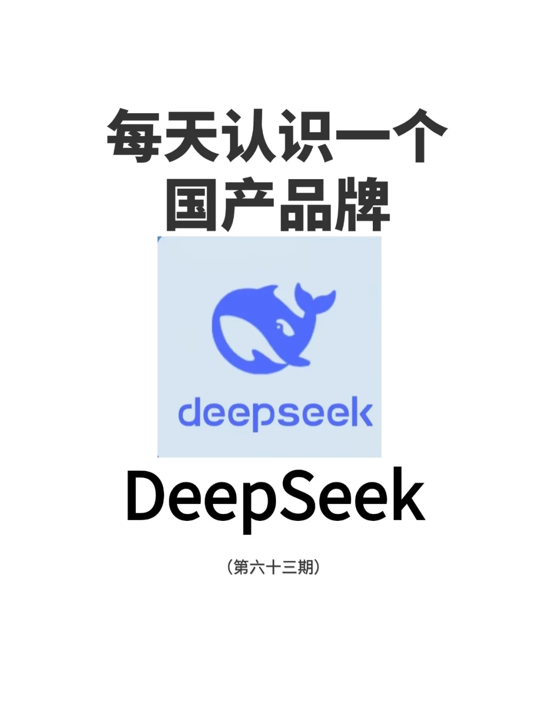 国货之光? DeepSeek的崛起之路