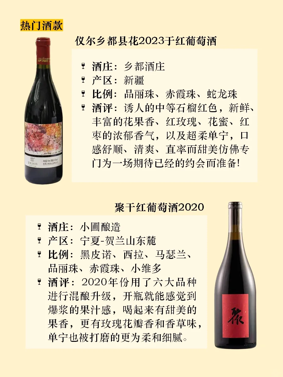 每天懂点葡萄酒|品丽珠Cabernet Franc