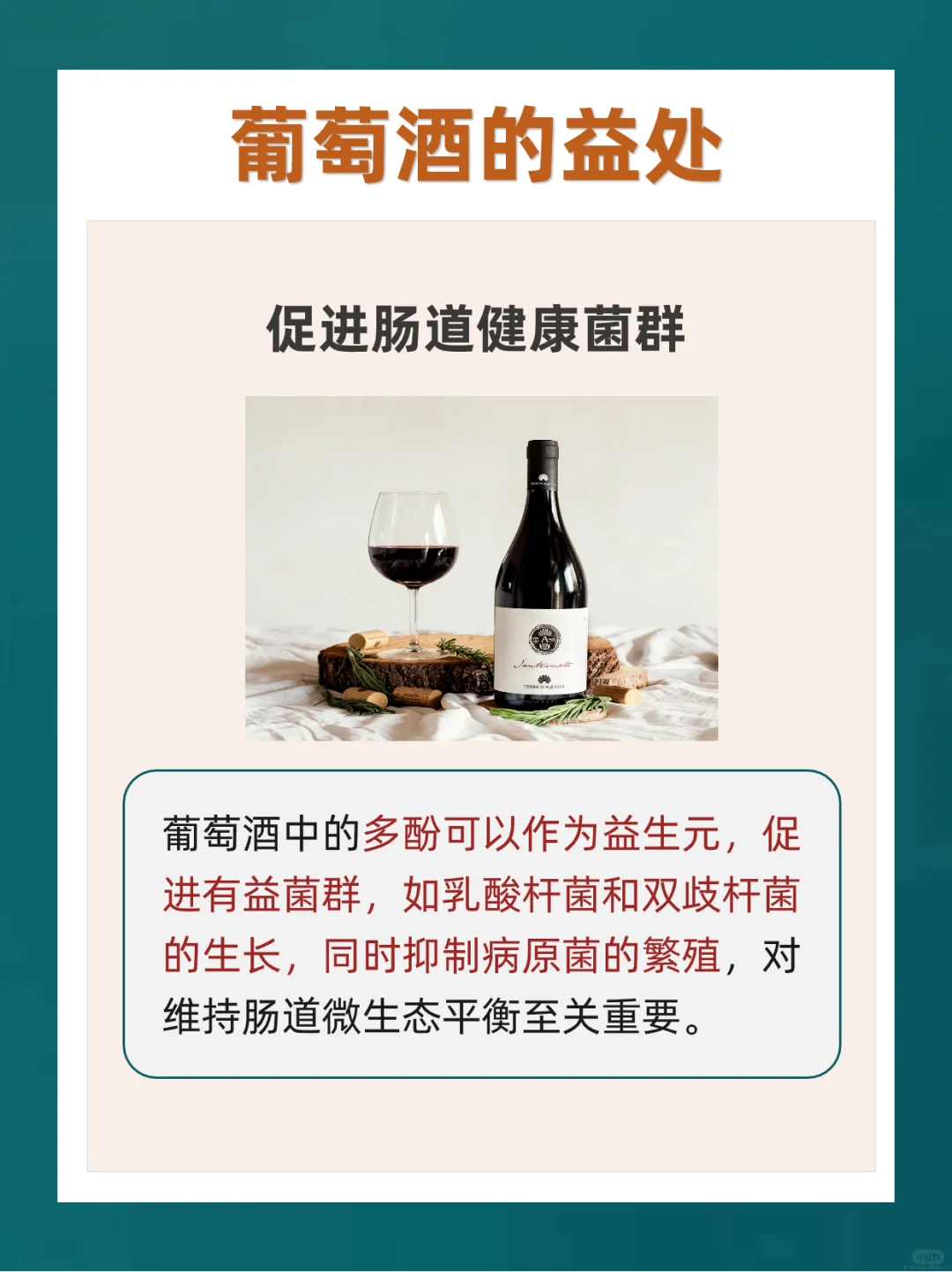 ?适量饮用葡萄酒有这4个好处