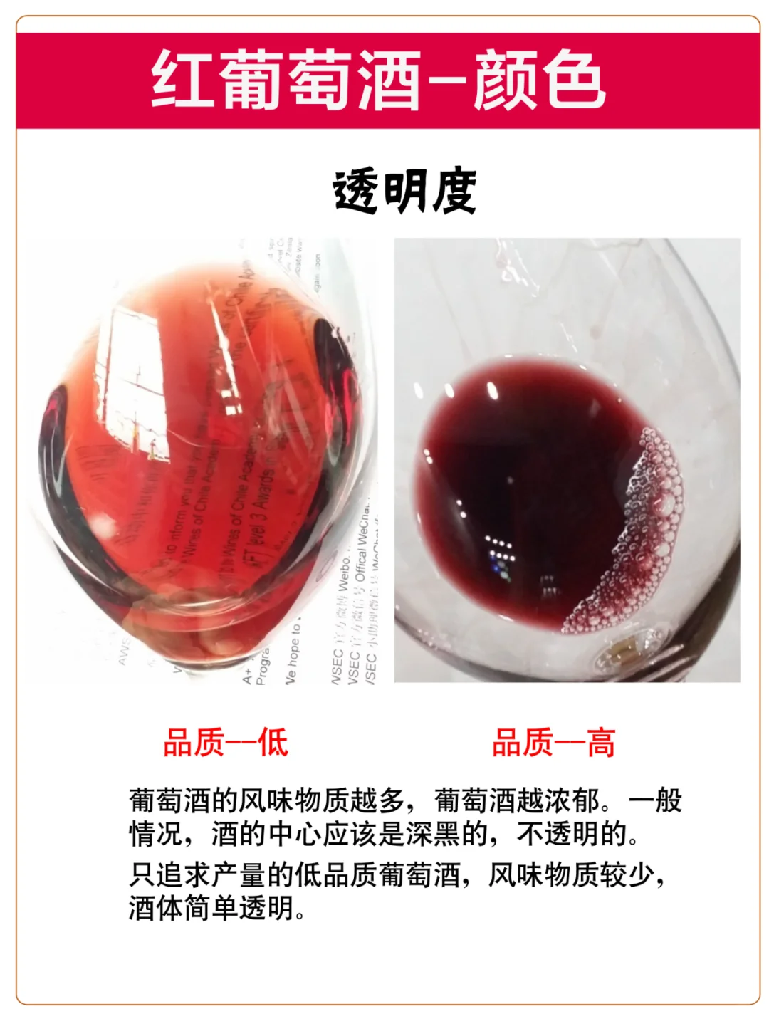 普通人也能掌握的葡萄酒颜色密码