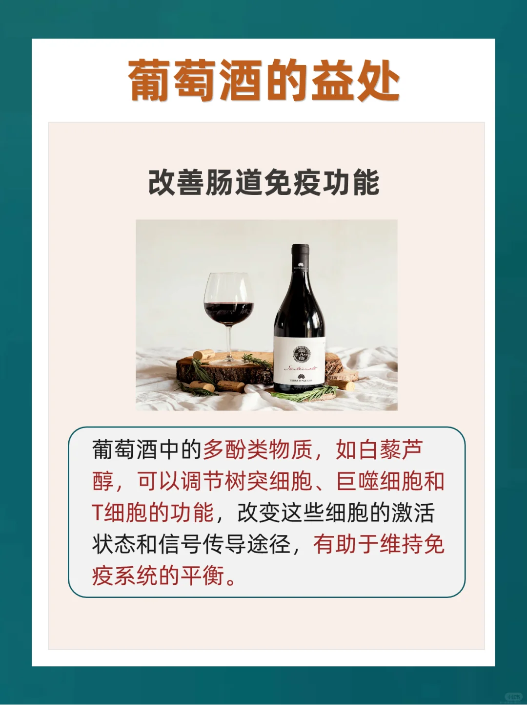 ?适量饮用葡萄酒有这4个好处