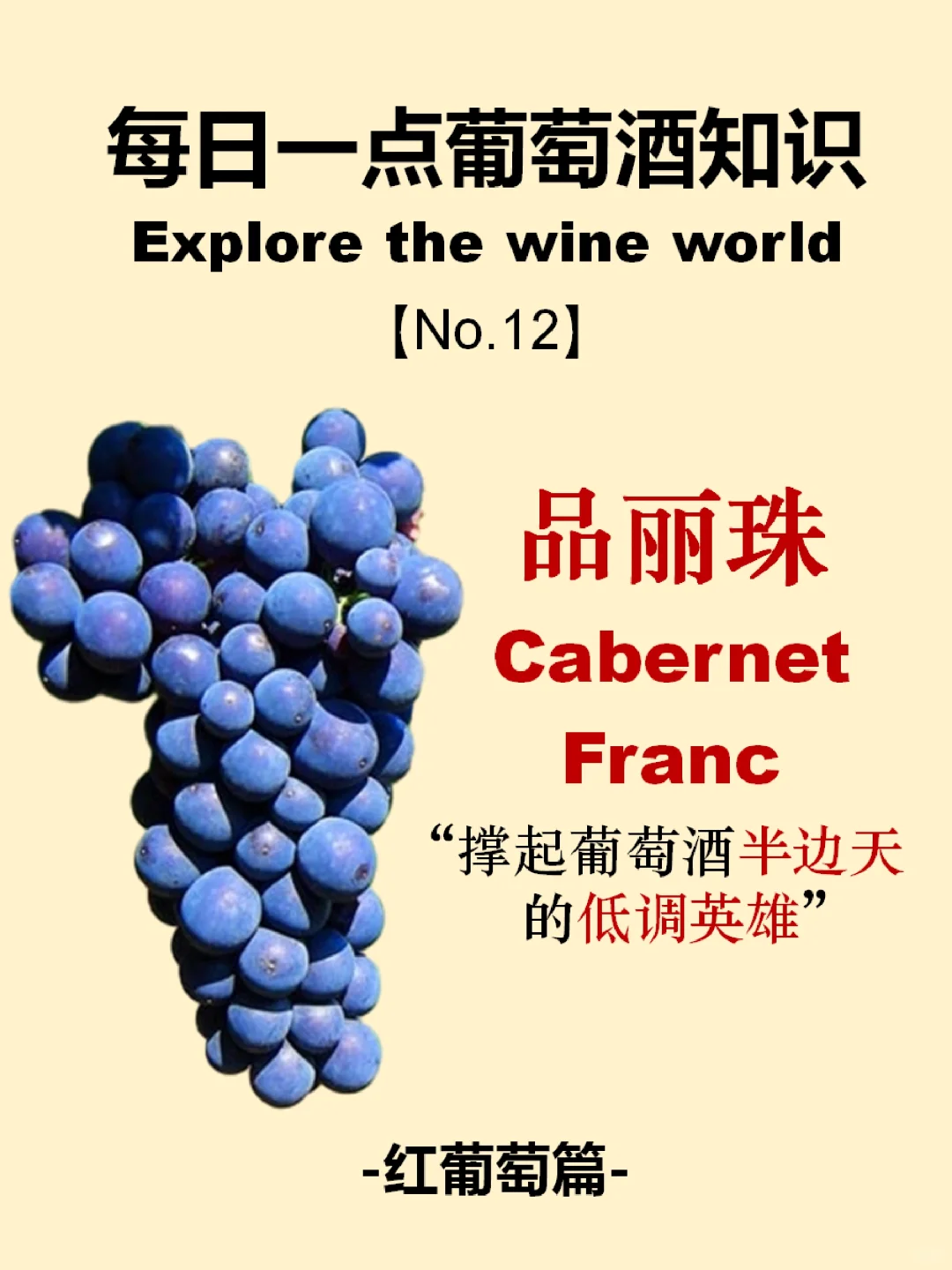 每天懂点葡萄酒|品丽珠Cabernet Franc