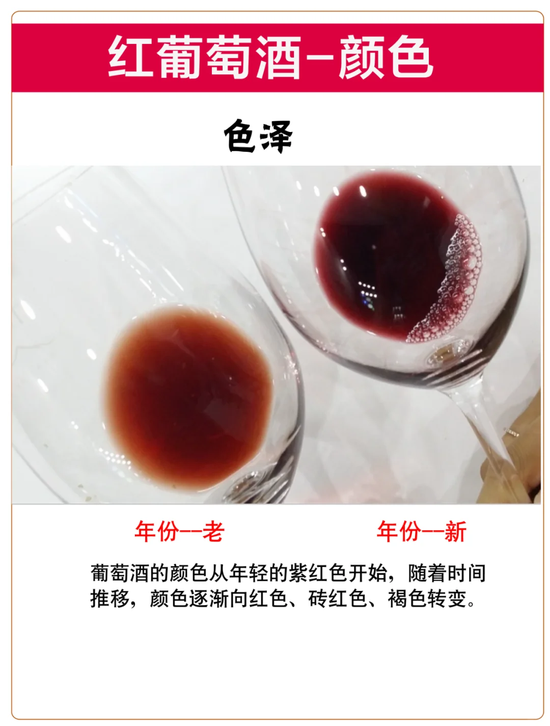 普通人也能掌握的葡萄酒颜色密码