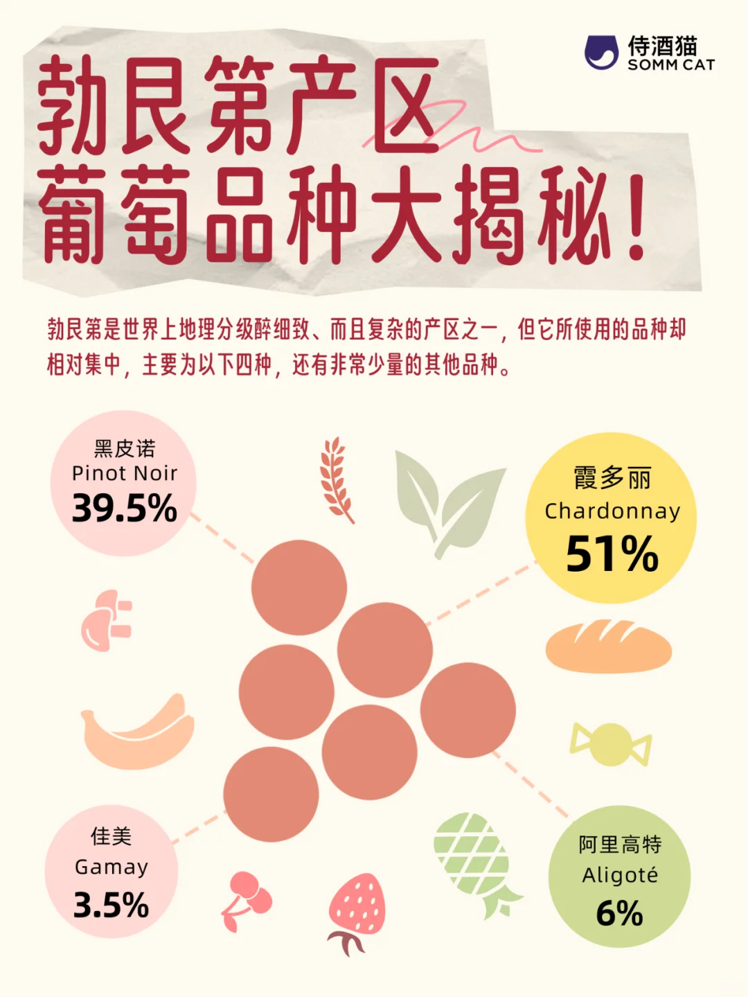 轻松入门勃艮第！你必须要知道的品种小知识