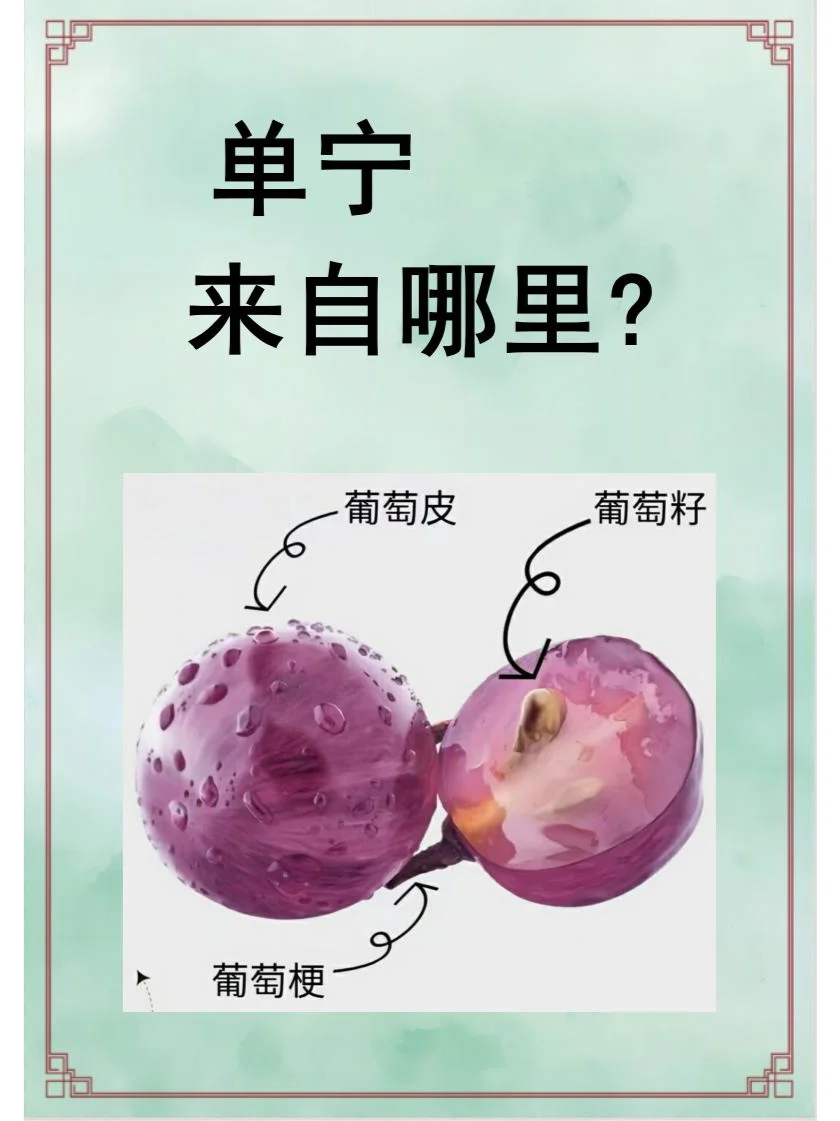 葡萄酒的【单宁】是什么？