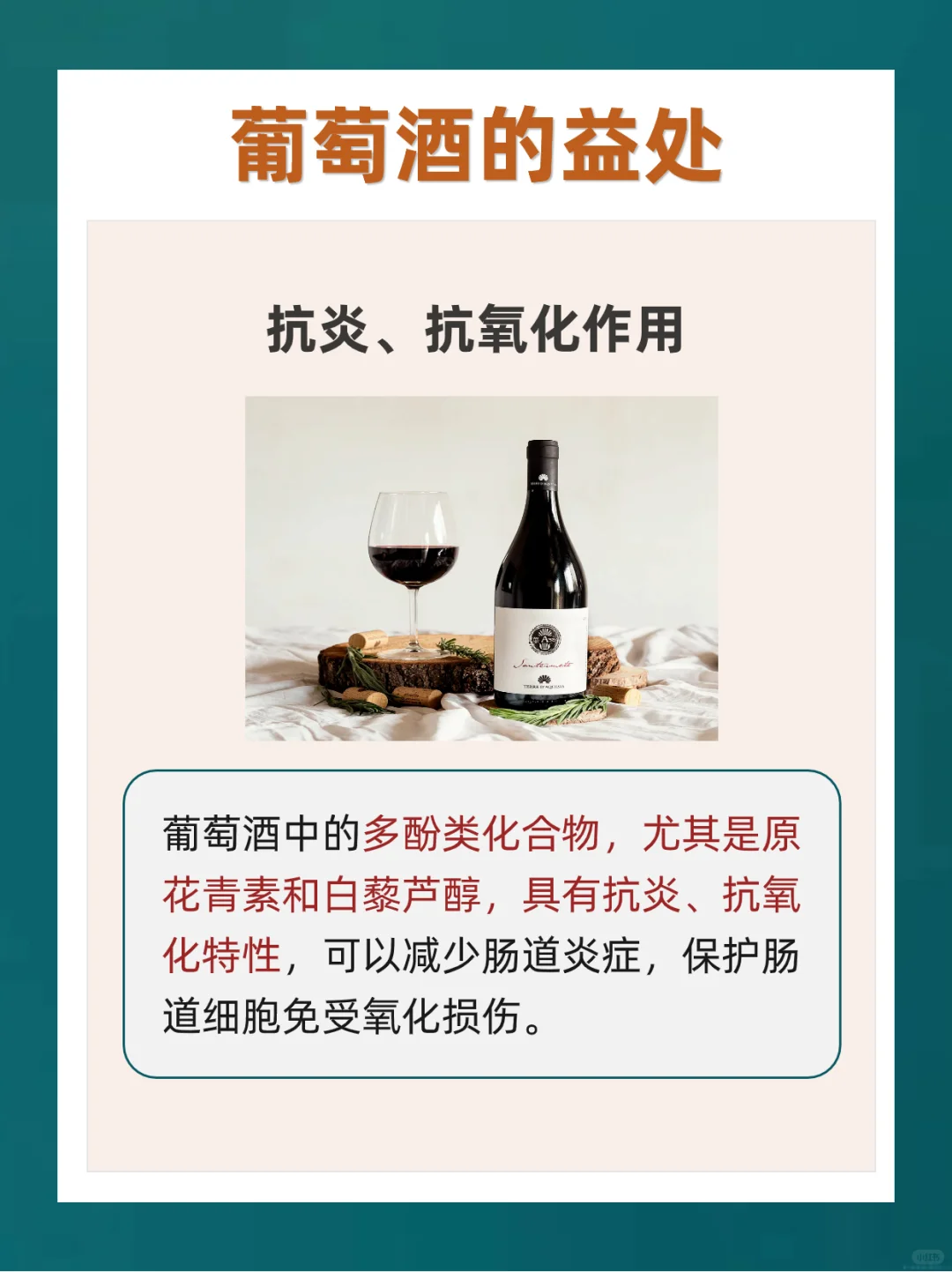 ?适量饮用葡萄酒有这4个好处