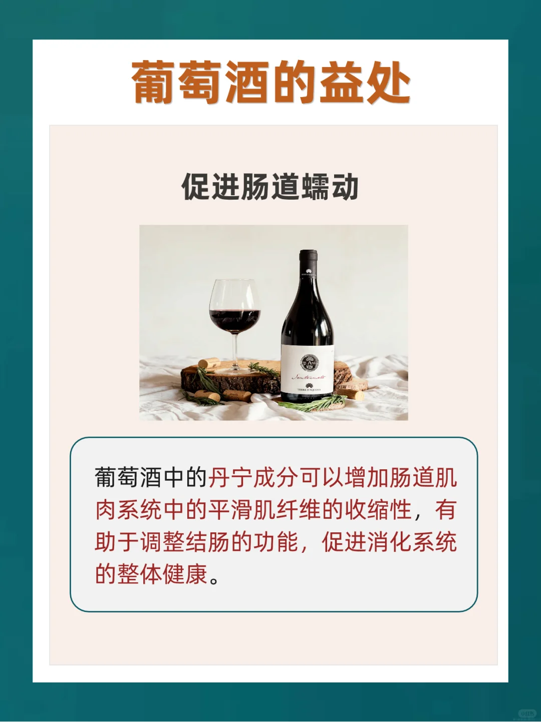 ?适量饮用葡萄酒有这4个好处