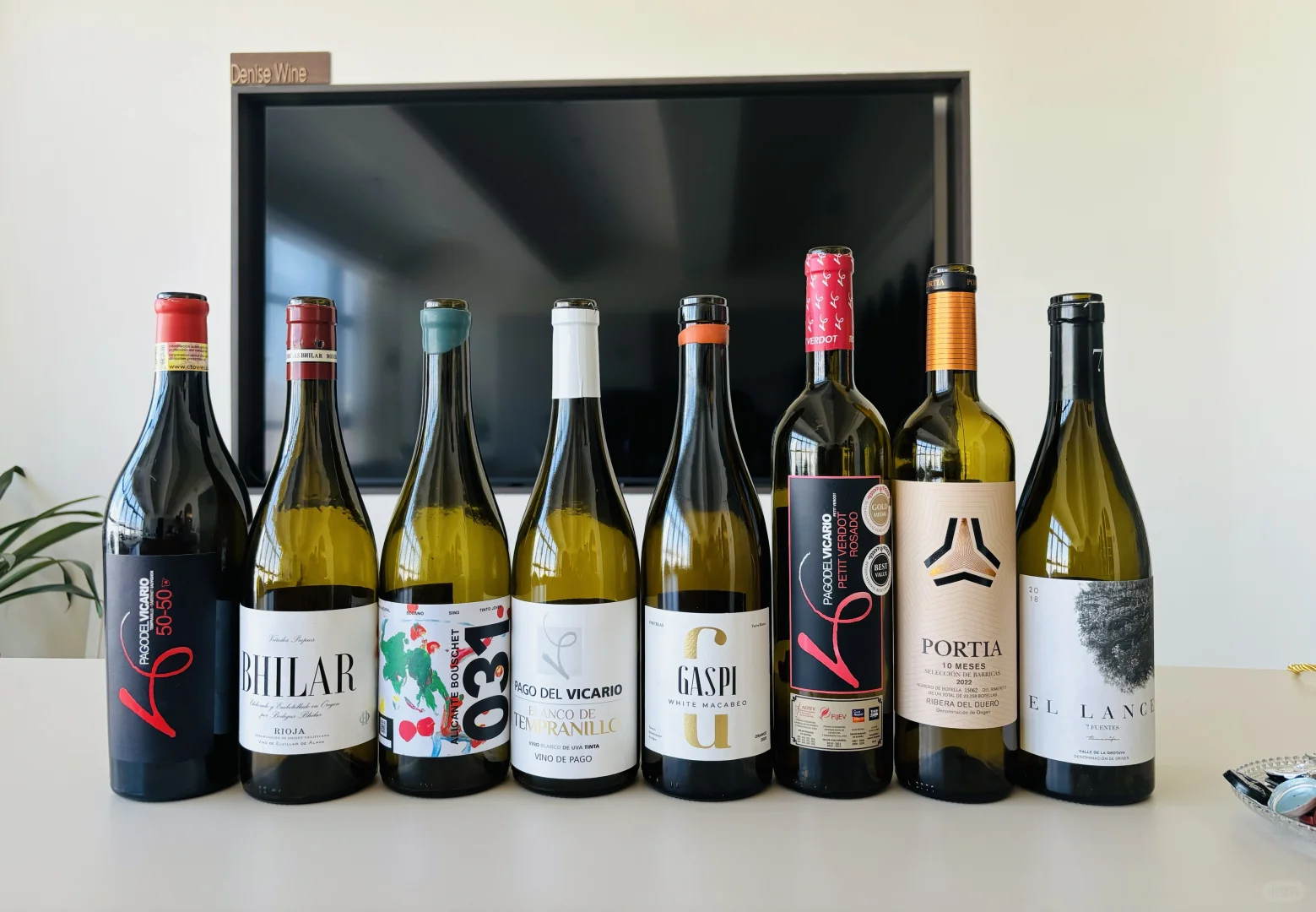 周日西班牙酒品鉴会