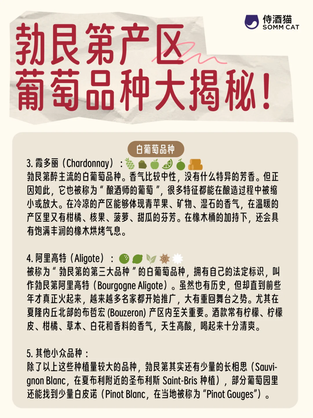 轻松入门勃艮第！你必须要知道的品种小知识