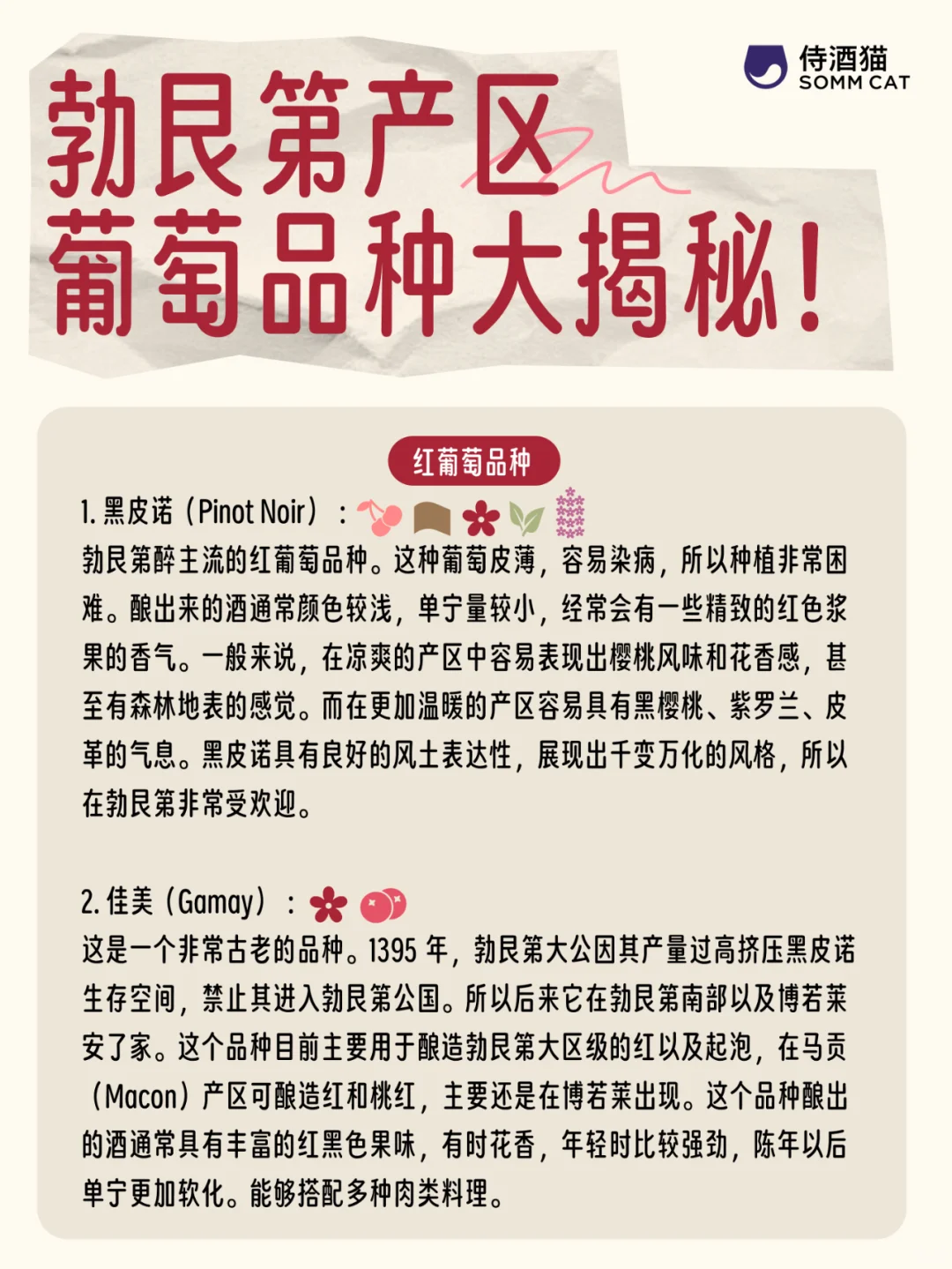 轻松入门勃艮第！你必须要知道的品种小知识