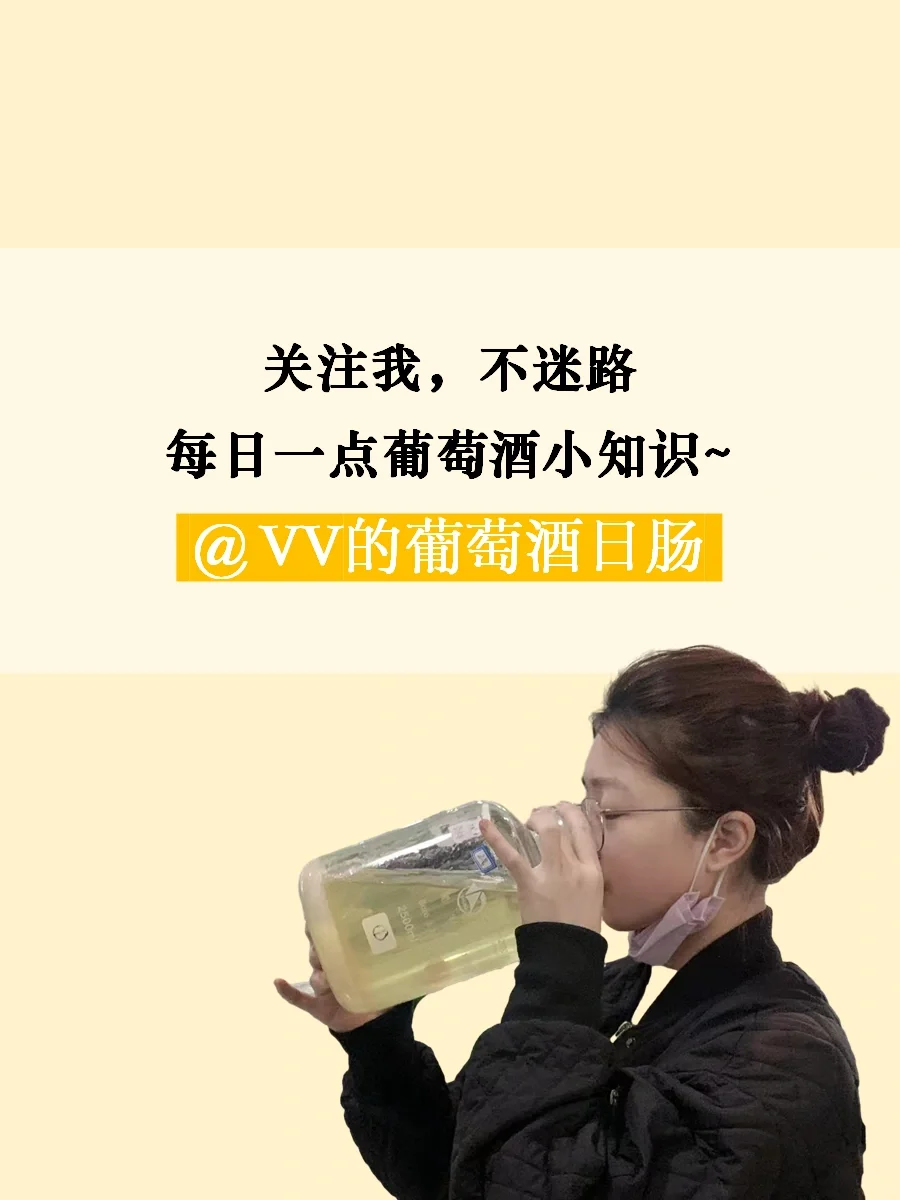 每天懂点葡萄酒|品丽珠Cabernet Franc