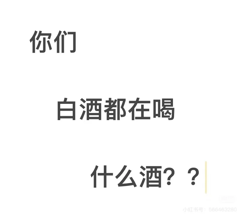 白酒都在喝什么酒？