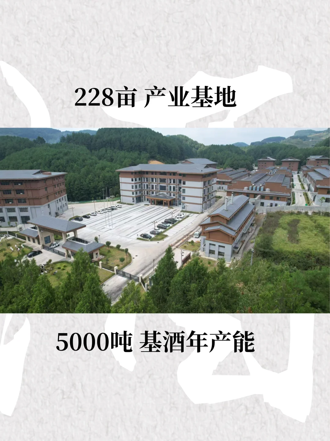 白酒暴利内幕大揭秘，贴牌赚钱超简单！?