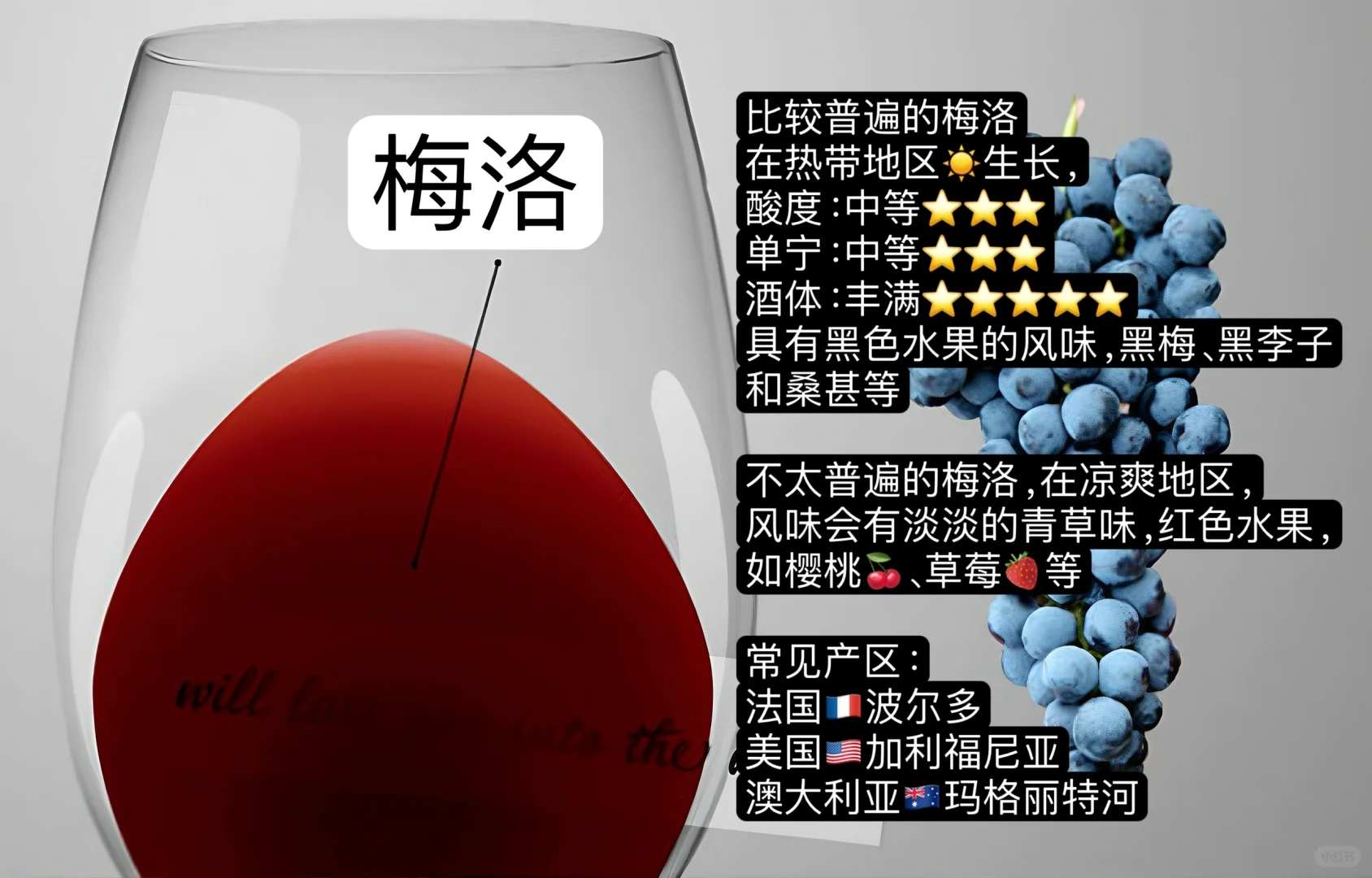 入门篇｜哪款红酒最适合你？