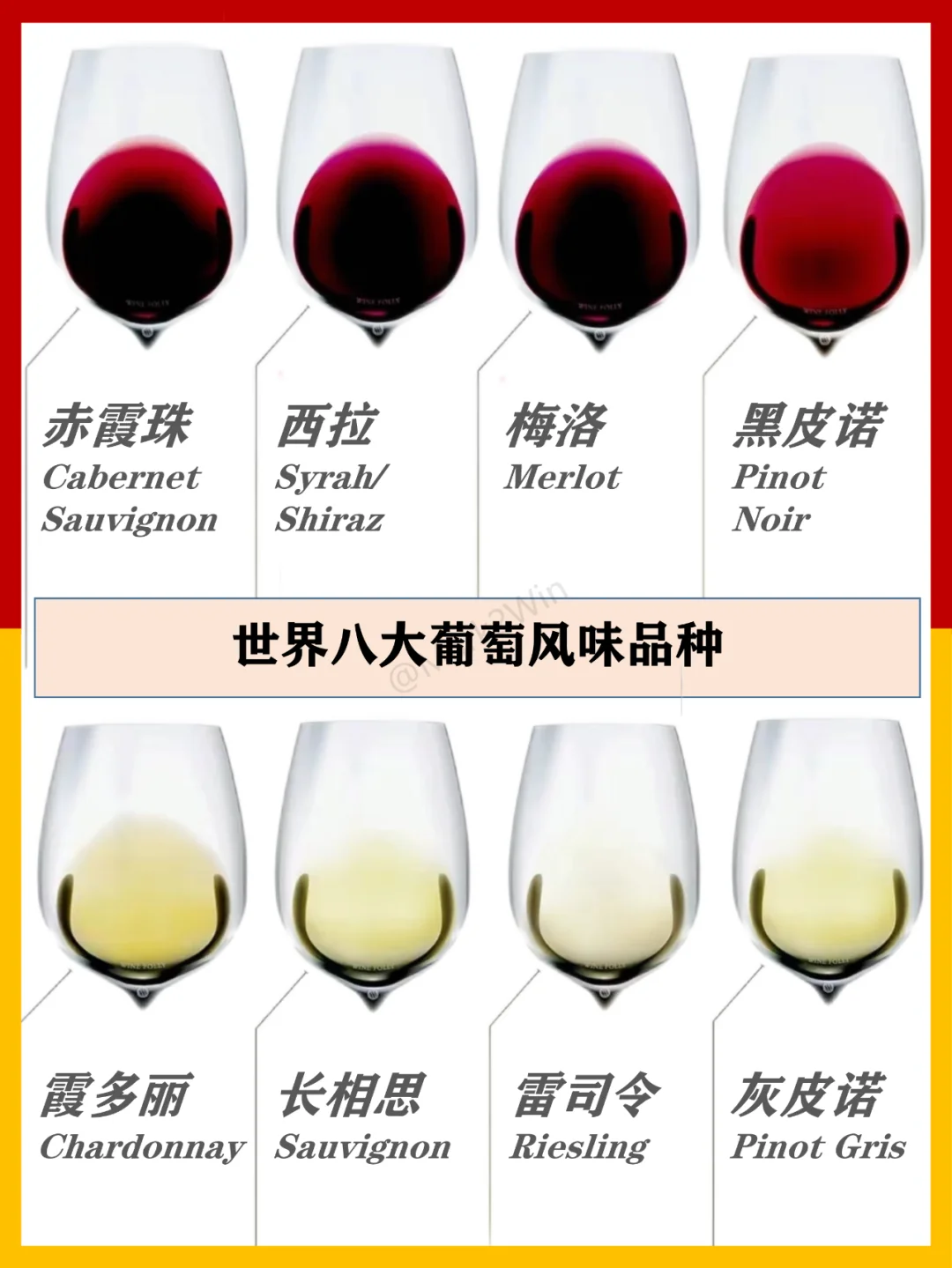 葡萄品种系列 | 世界八大葡萄风味品种