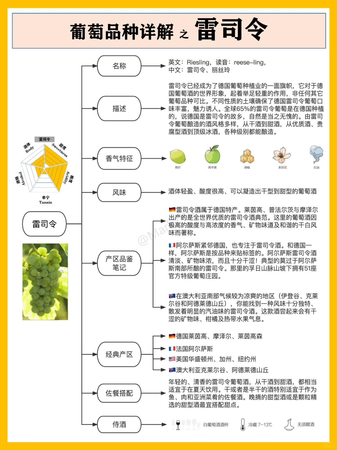 葡萄品种系列 | 世界八大葡萄风味品种