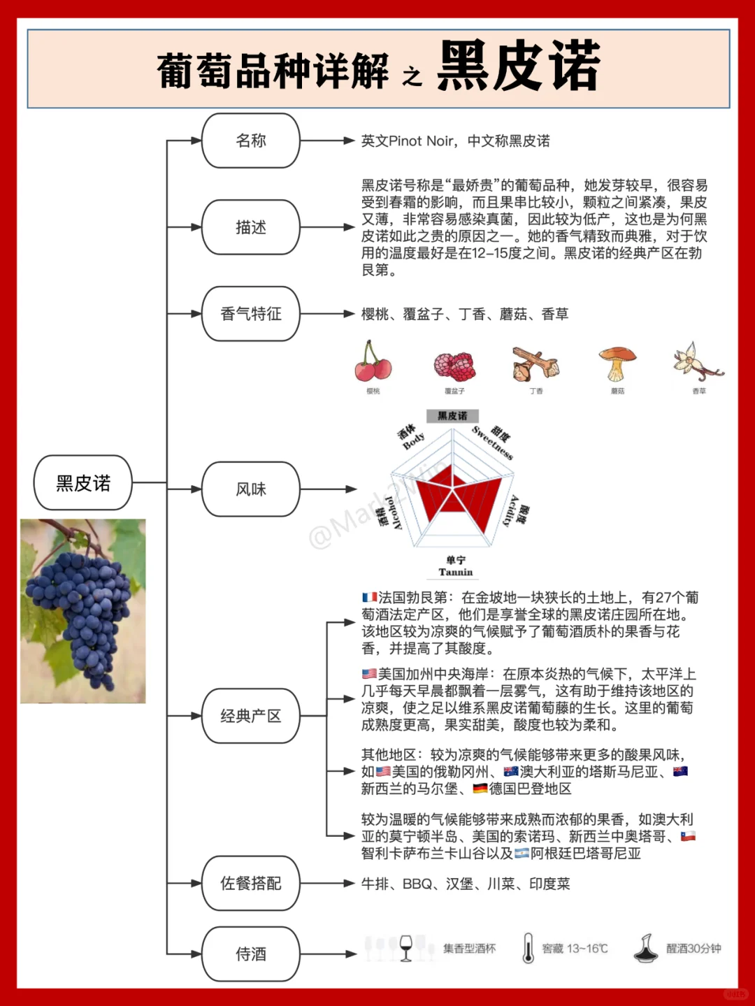 葡萄品种系列 | 世界八大葡萄风味品种