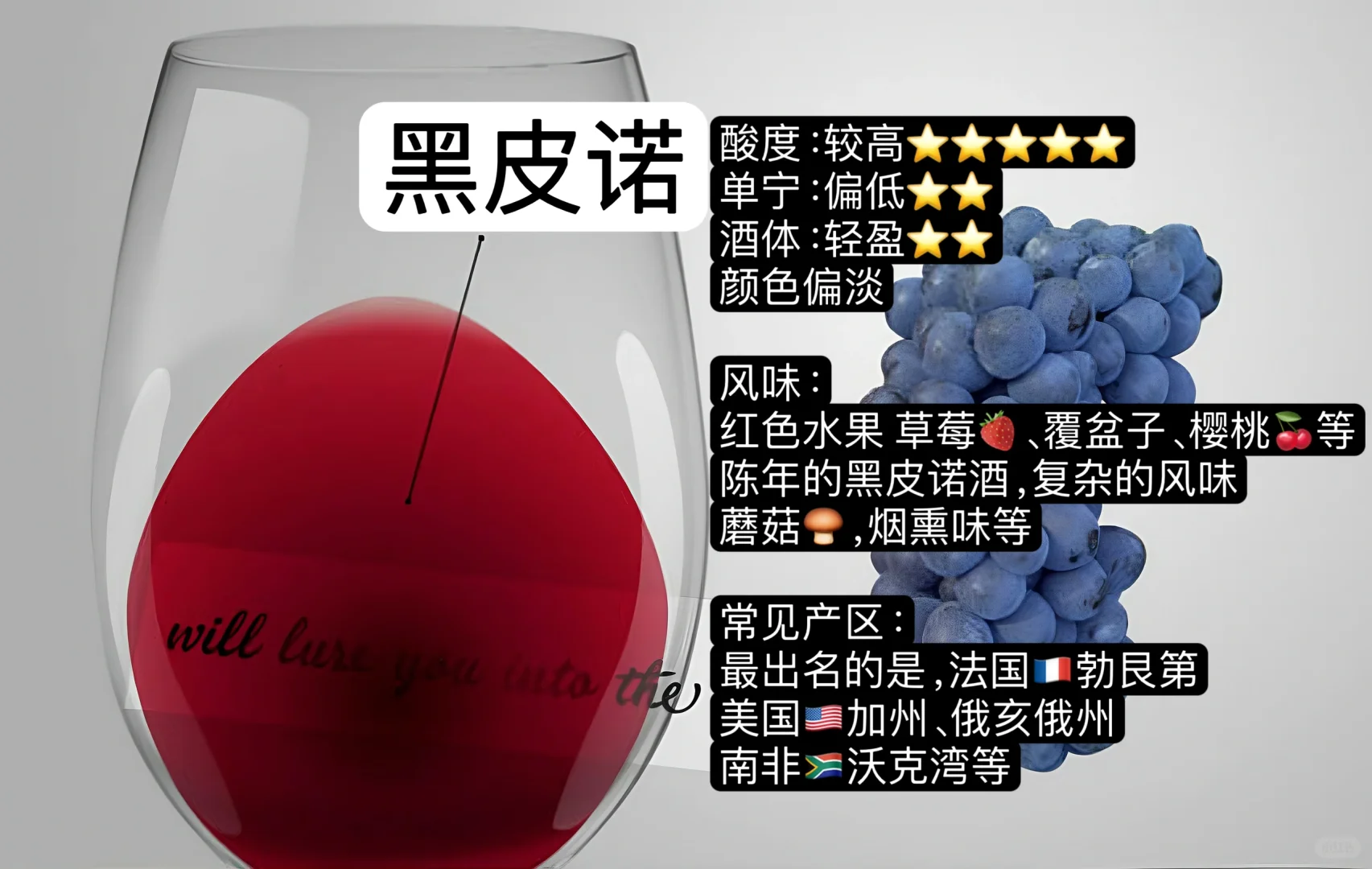 入门篇｜哪款红酒最适合你？