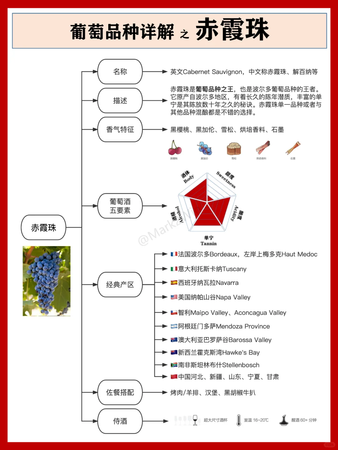葡萄品种系列 | 世界八大葡萄风味品种