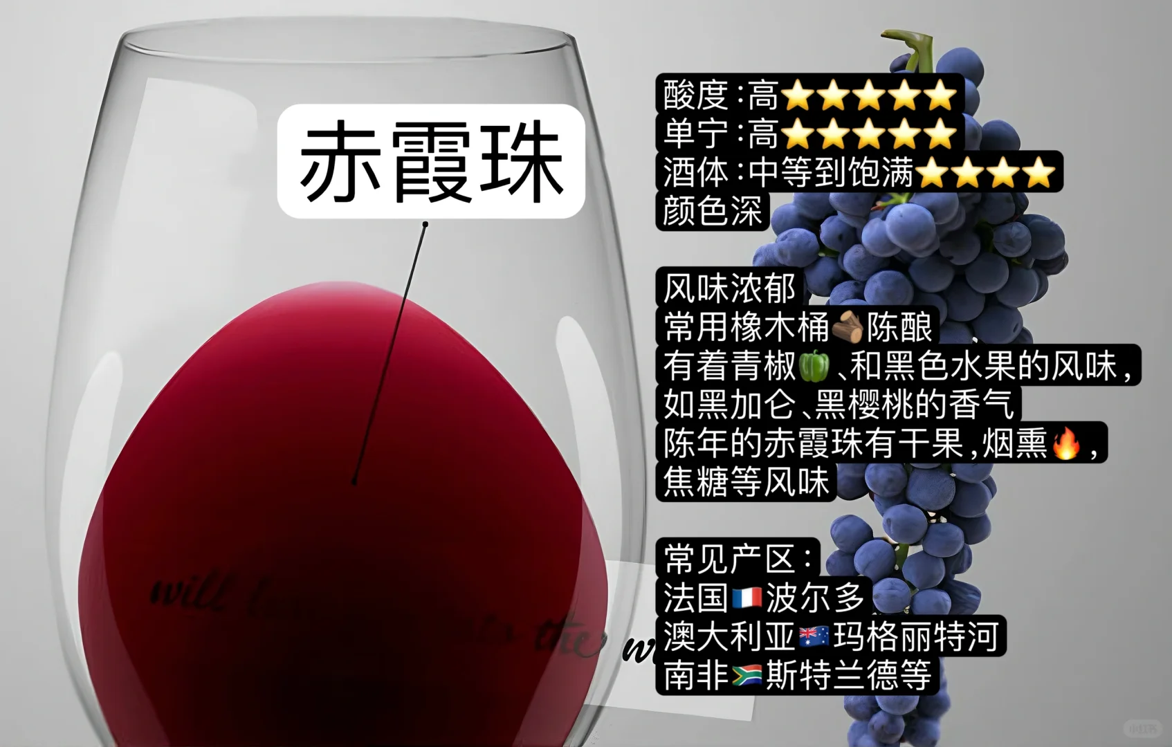 入门篇｜哪款红酒最适合你？