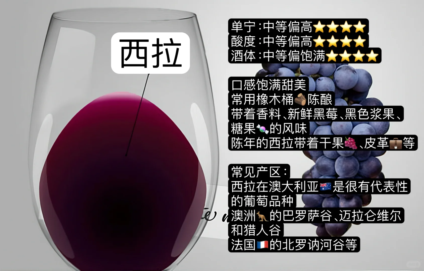 入门篇｜哪款红酒最适合你？