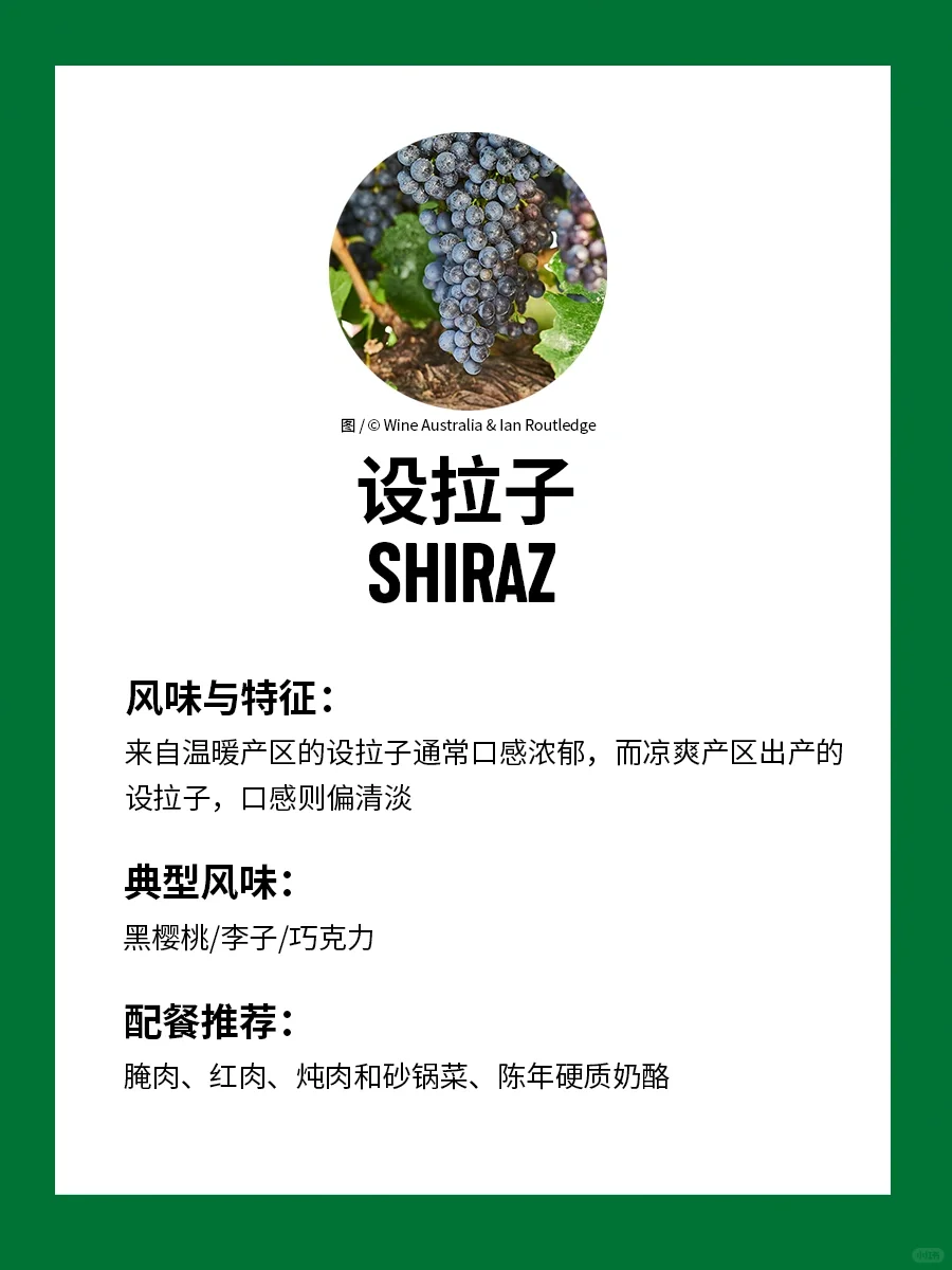 ?入门澳大利亚葡萄酒，就收藏这篇（上）