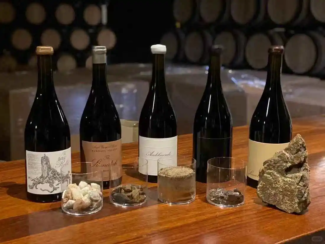 【准满分巴罗萨】斯坦迪什酒庄定理红葡萄酒