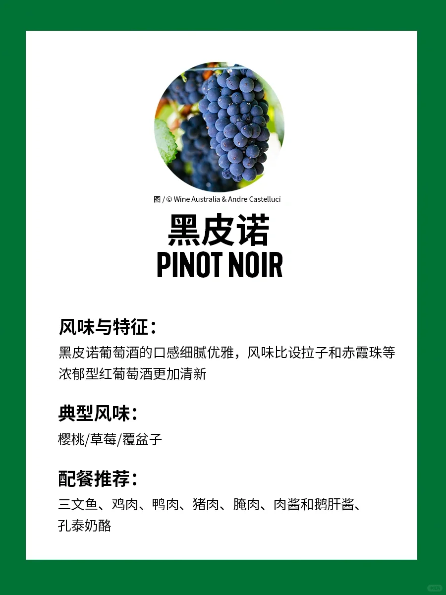 ?入门澳大利亚葡萄酒，就收藏这篇（上）