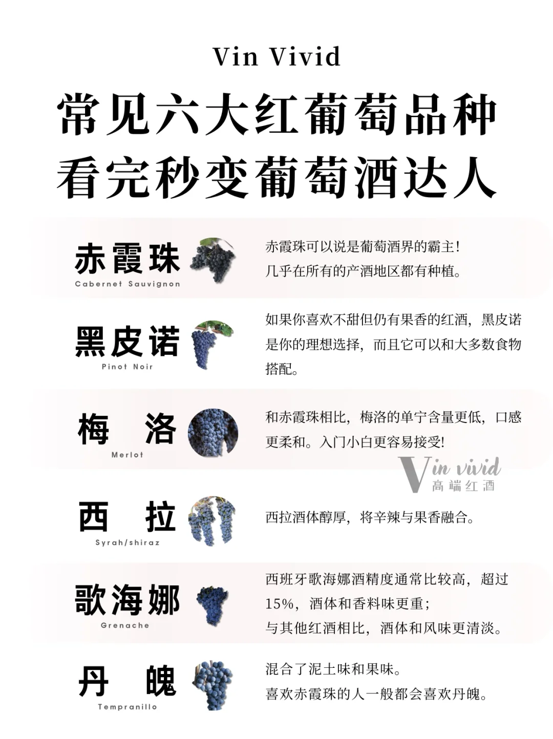 酿酒葡萄上千种，看完这篇你就懂！！