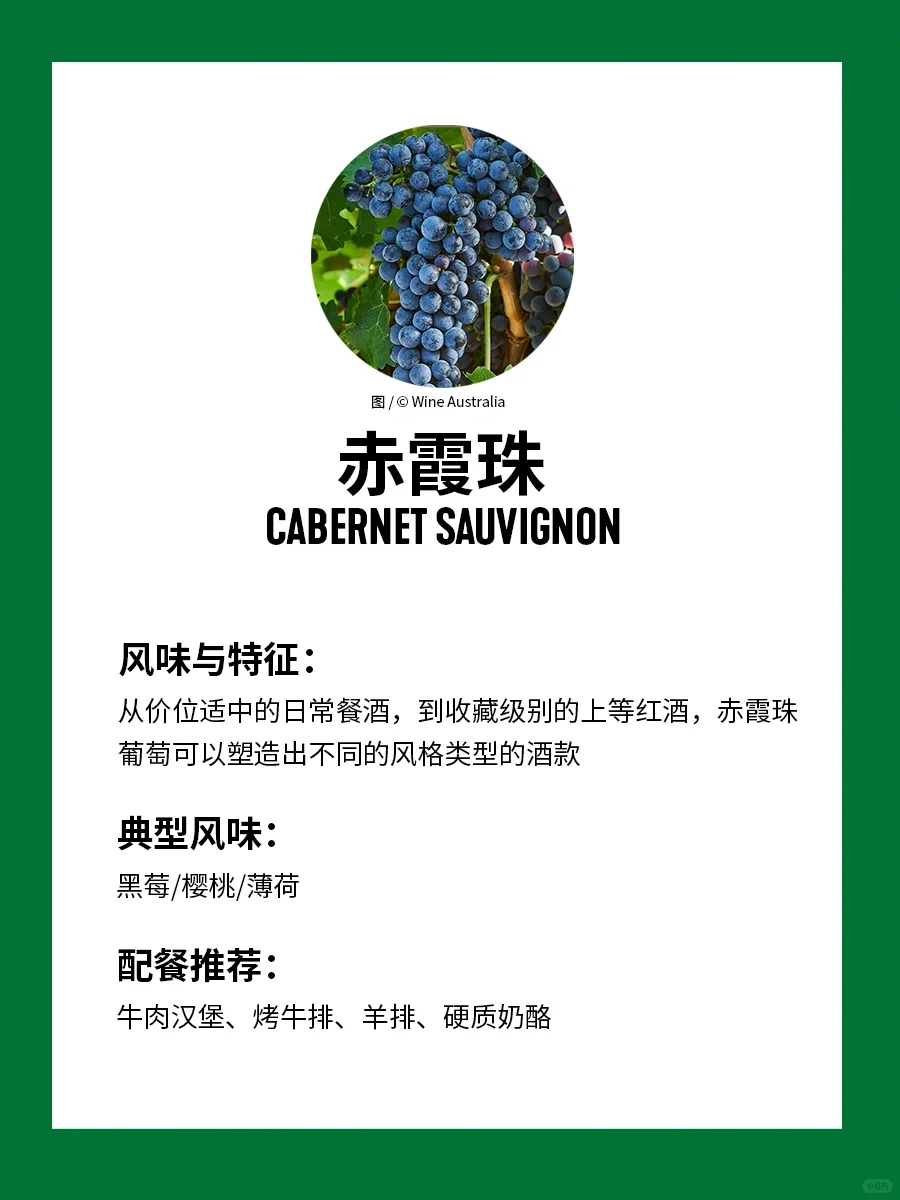 ?入门澳大利亚葡萄酒，就收藏这篇（上）