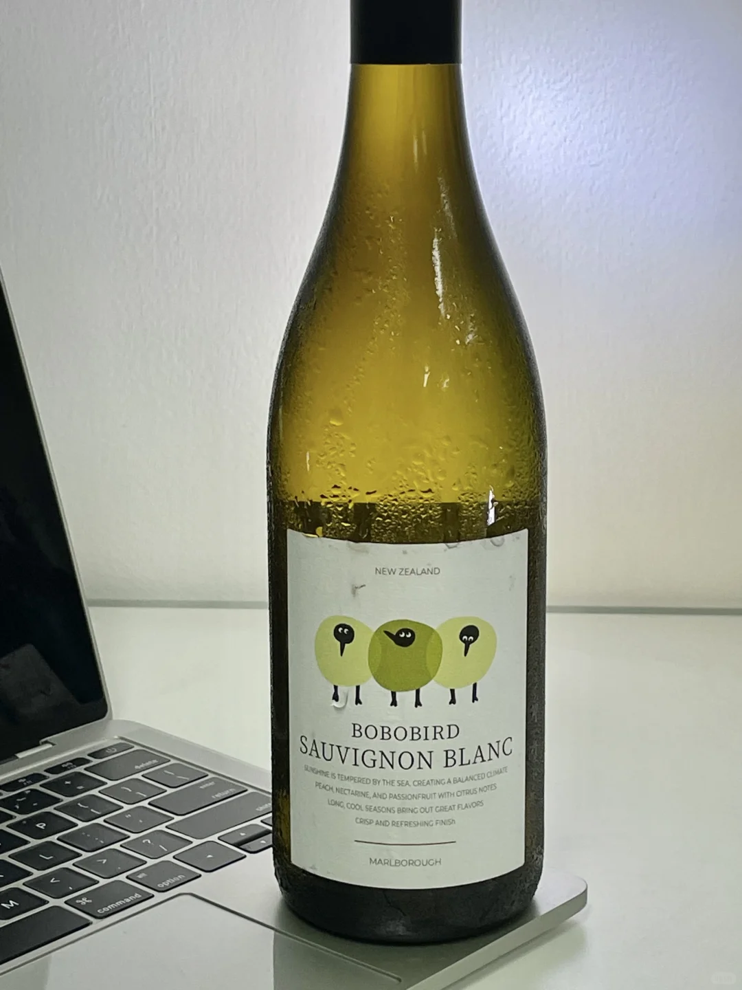 酒蒙子的六条命（复工酒单）