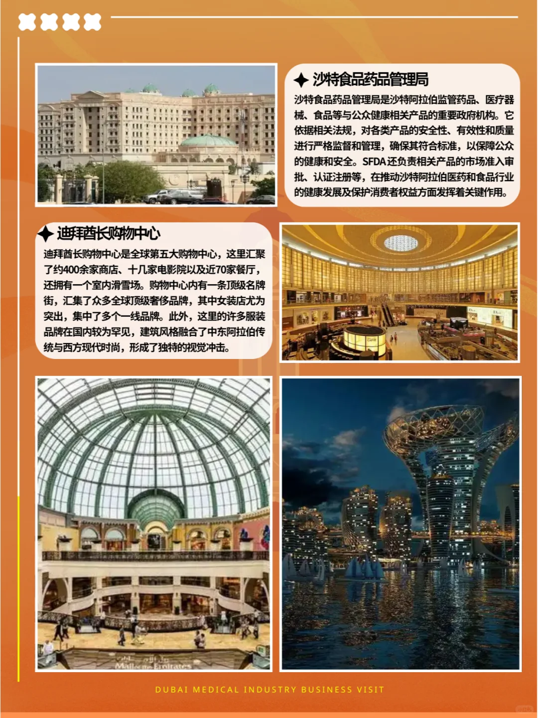迪拜醫療行业商务考察 | 行程分享