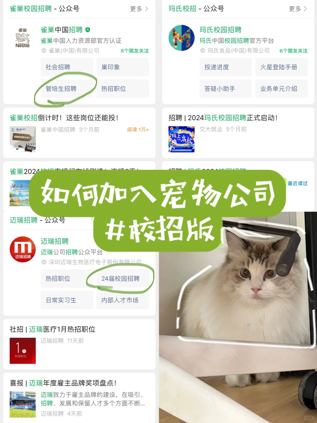 如何加入宠物公司-校招篇