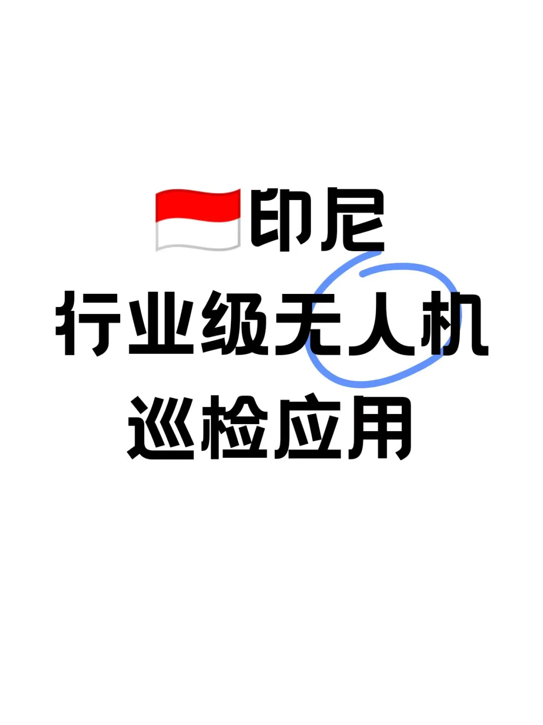 ??印尼行业级无人机巡检应用