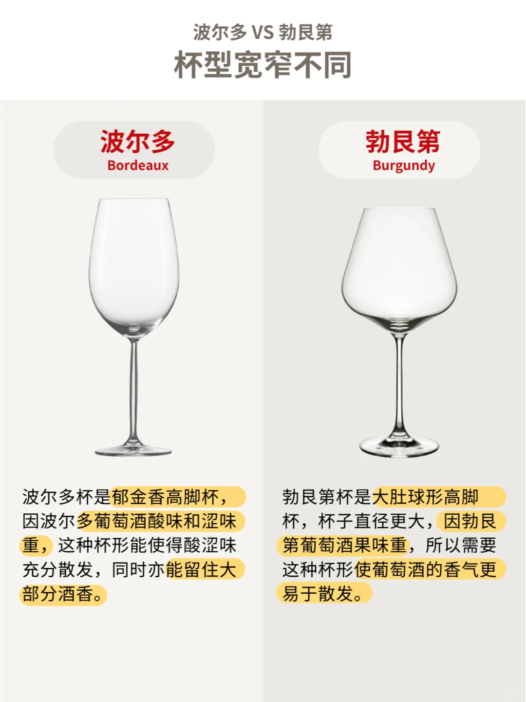 波尔多VS勃艮第，全面对比大揭秘㊙️