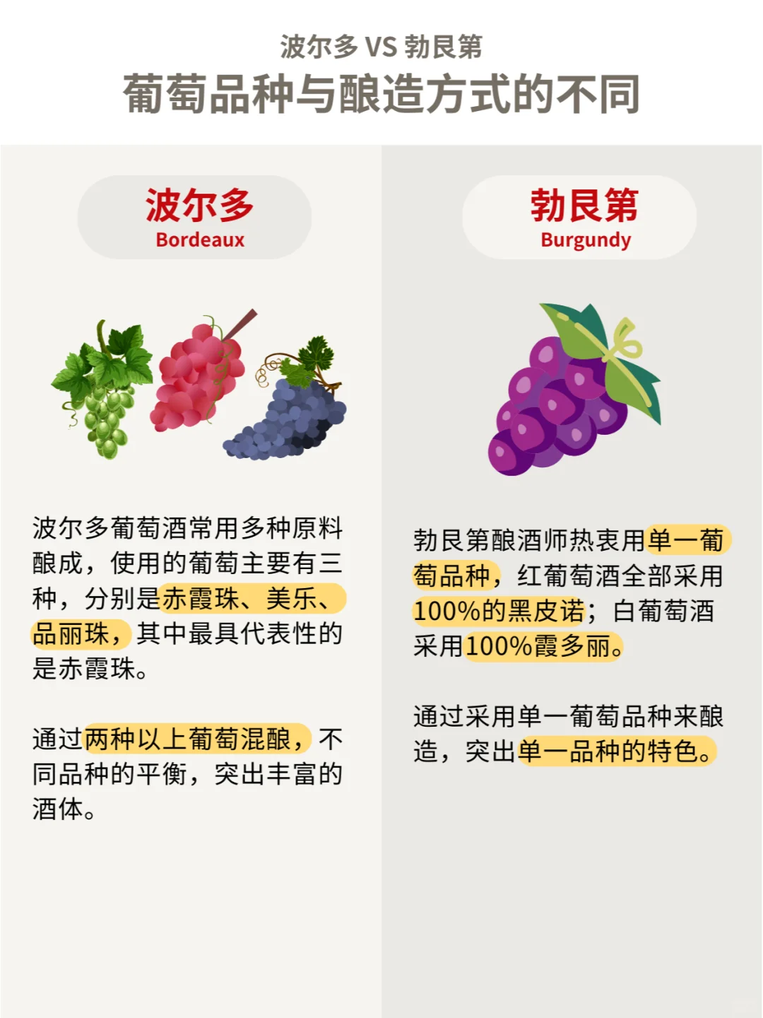 波尔多VS勃艮第，全面对比大揭秘㊙️