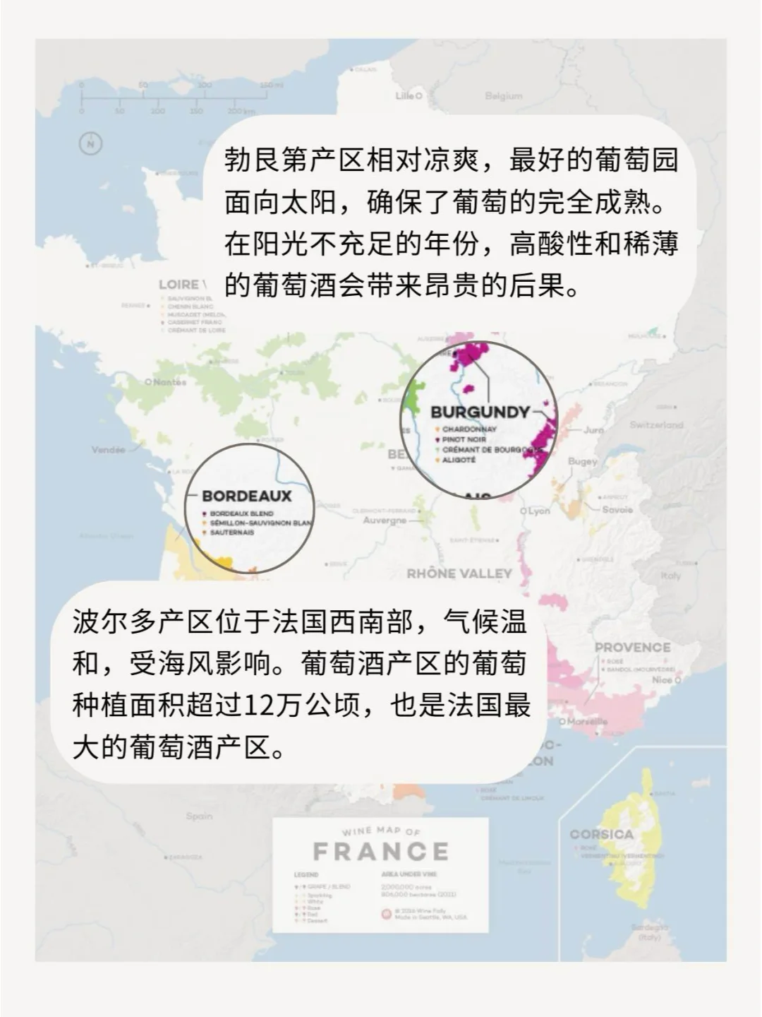 波尔多VS勃艮第，全面对比大揭秘㊙️
