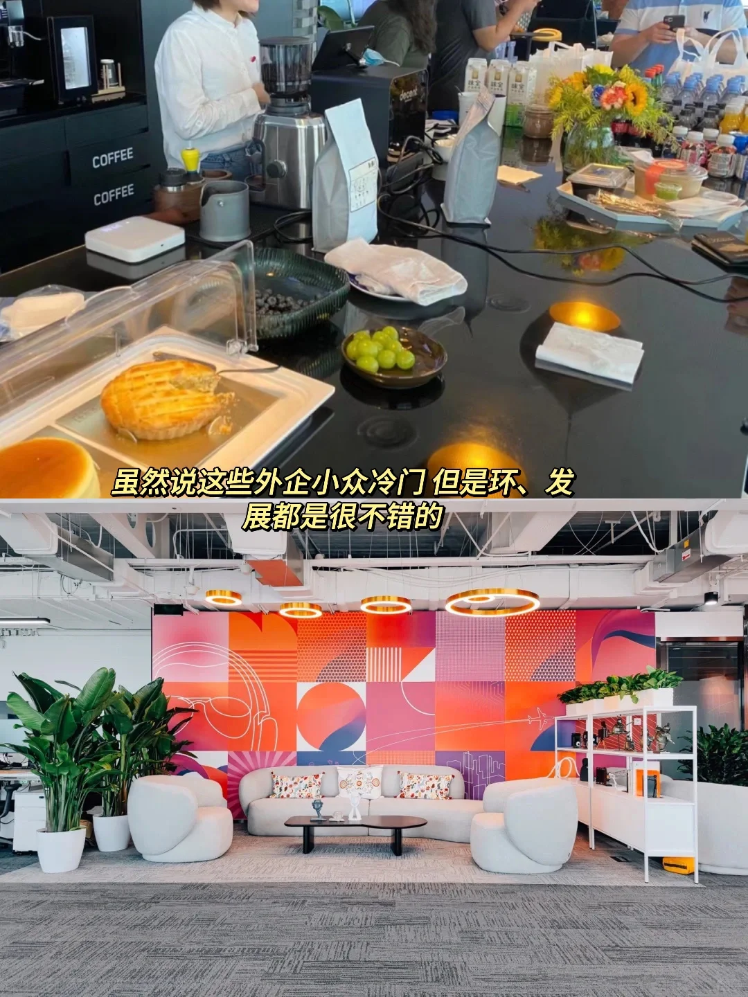 进外企难？双非人去小众冷门外企啊！