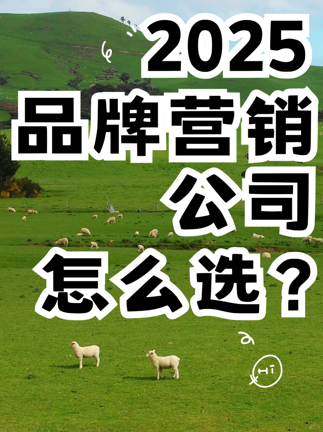 2025年品牌营销公司怎么选？