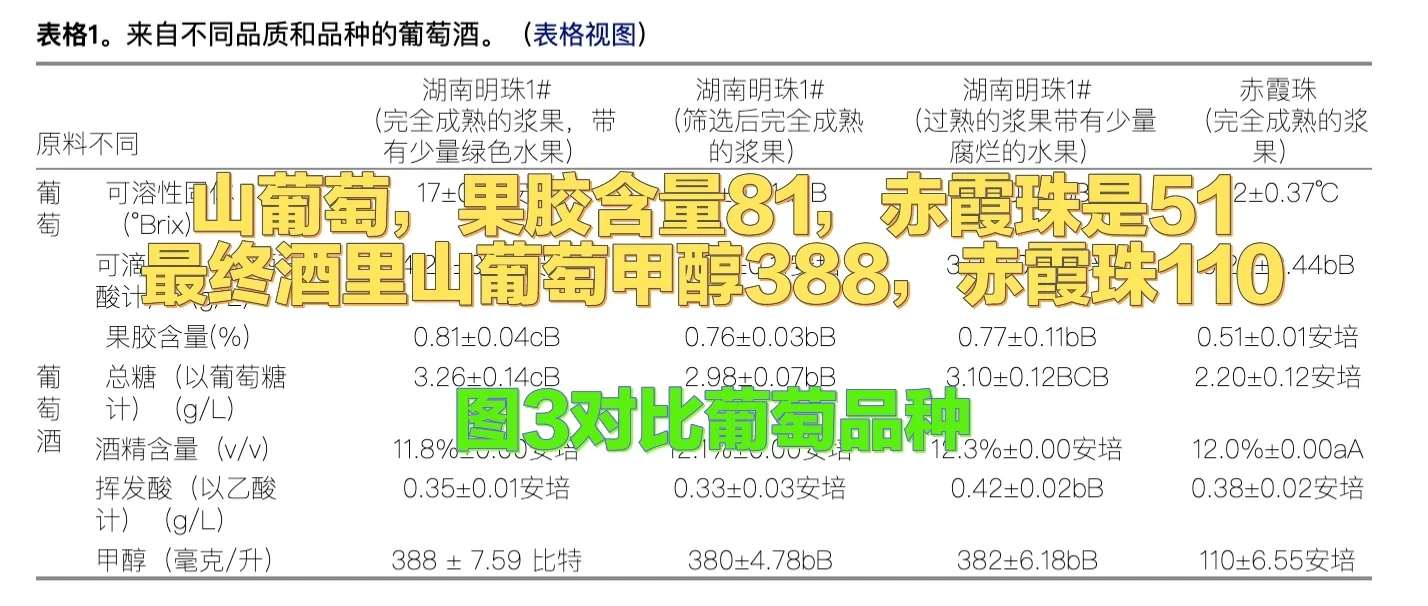 自酿葡萄酒必看，如何减少甲醇不中毒