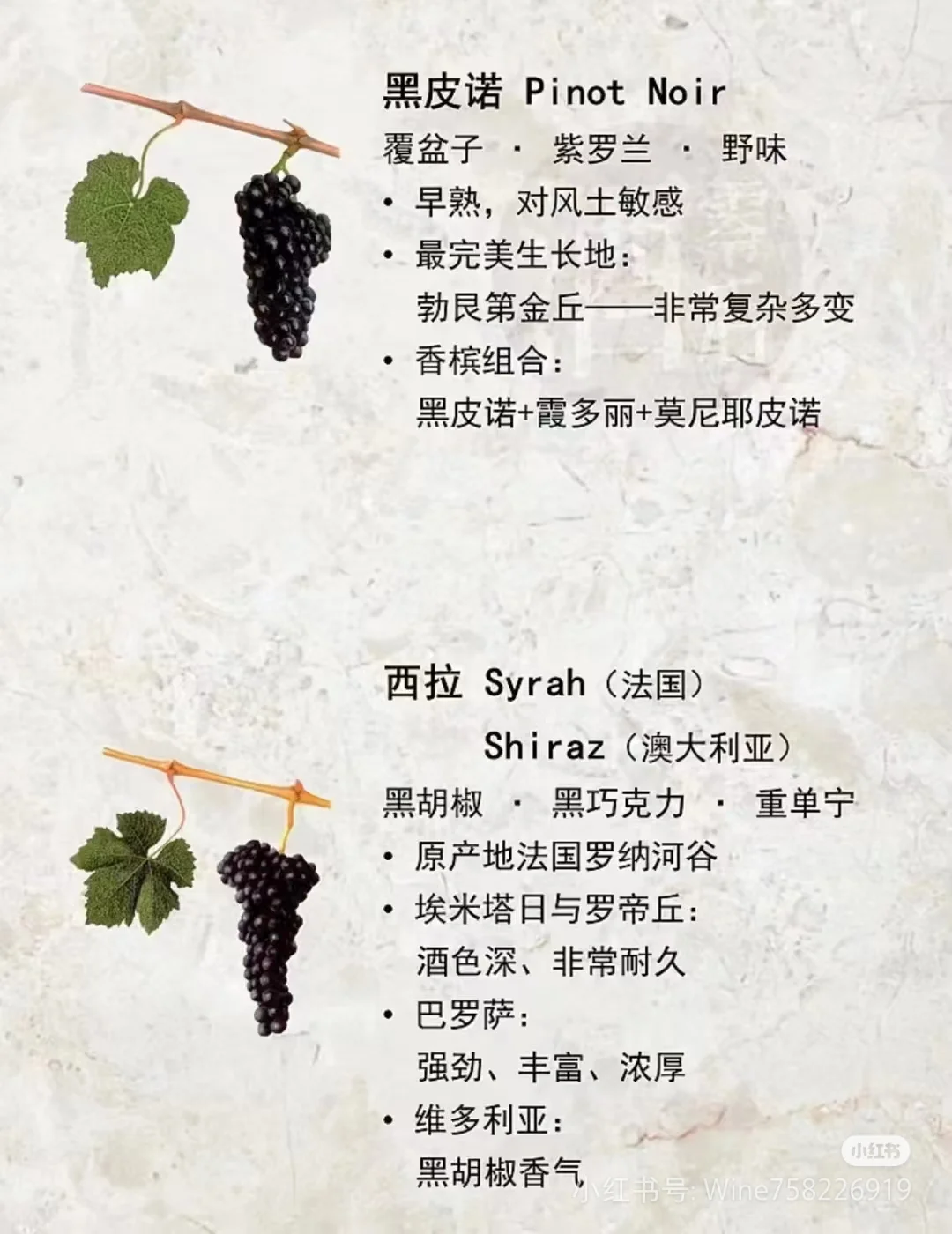 酿葡萄酒的葡萄品种