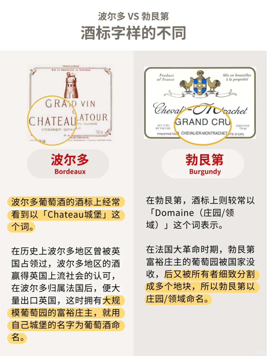 波尔多VS勃艮第，全面对比大揭秘㊙️