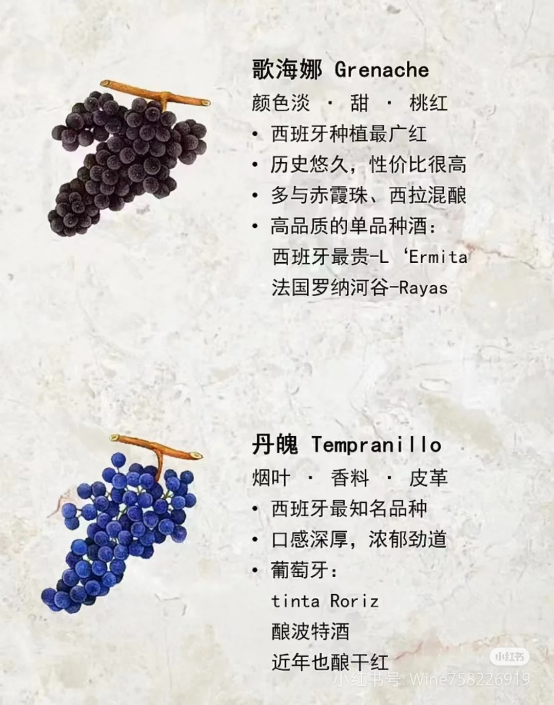 酿葡萄酒的葡萄品种