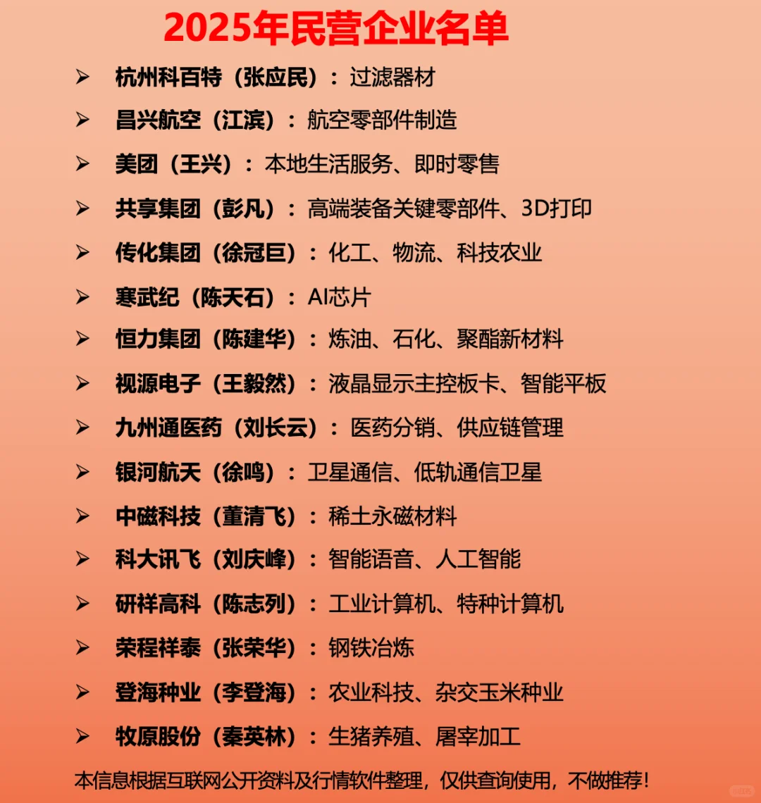 2025年民营企业