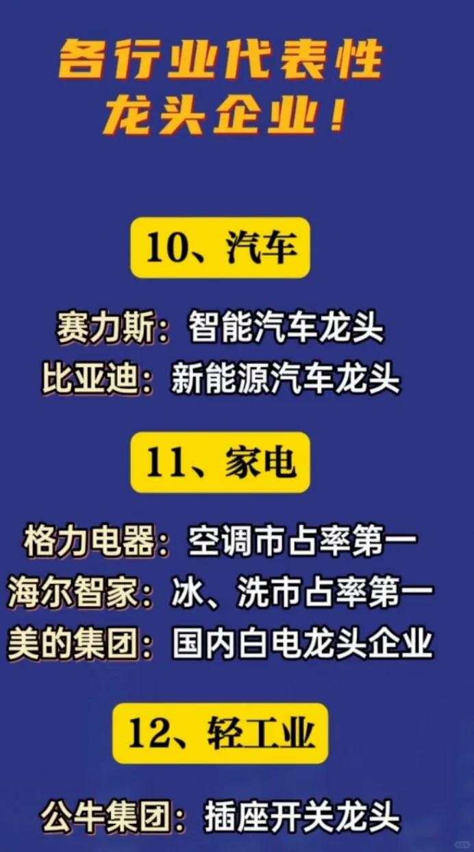各行业代表性龙头企业!未完