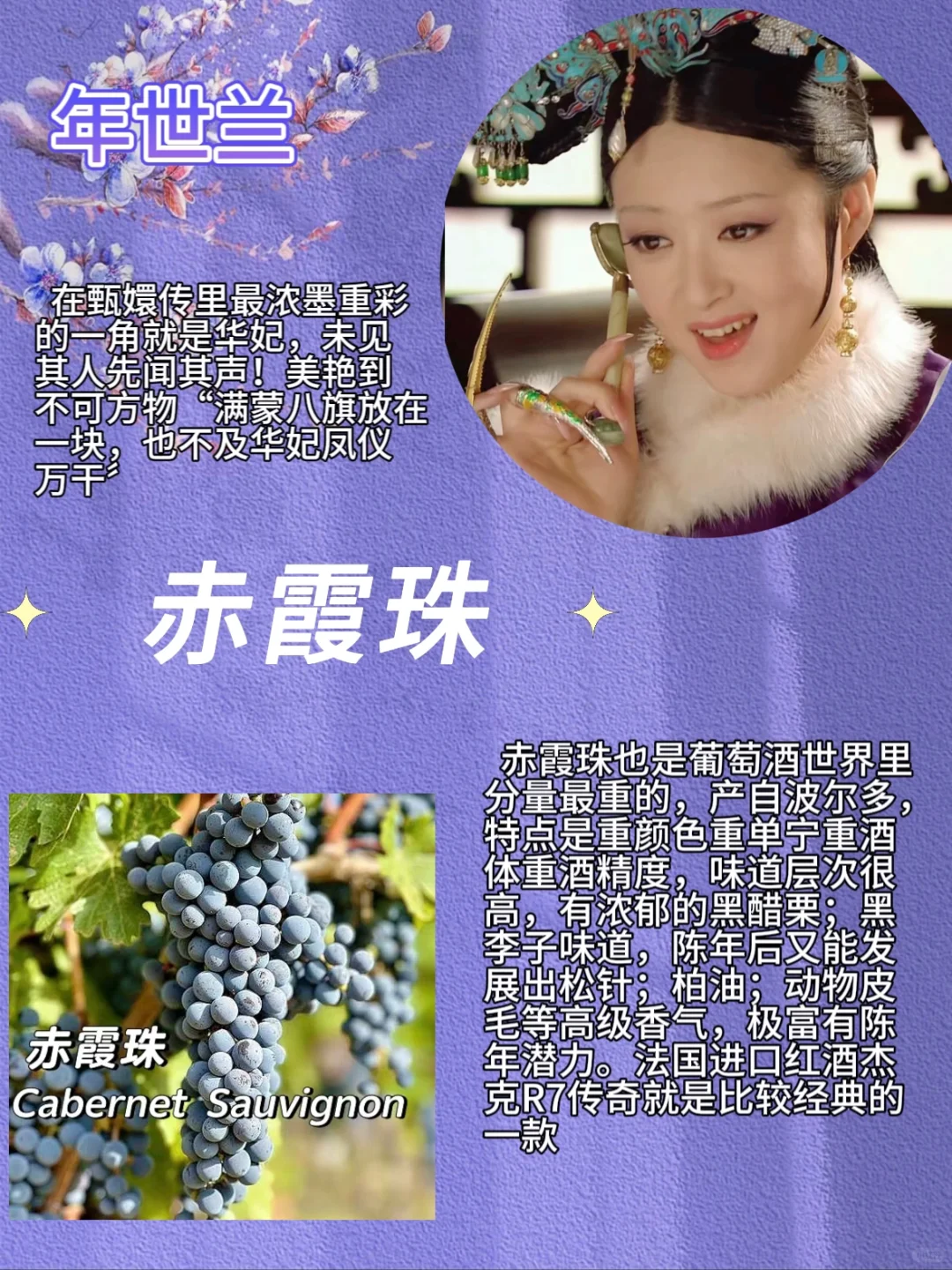 用甄嬛传带你了解四大葡萄品种｜通俗易懂