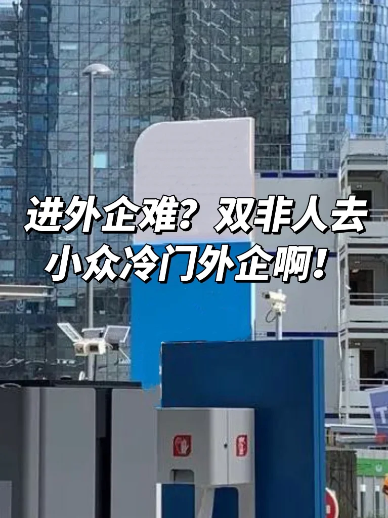 进外企难？双非人去小众冷门外企啊！