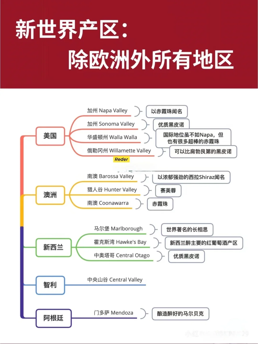 ?3分钟葡萄酒达人速成‼️必备葡萄酒干